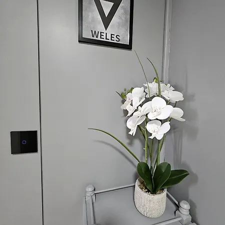 Weles Apartment *